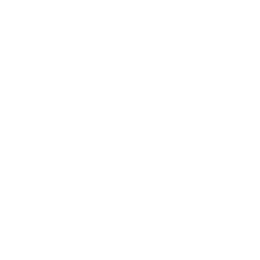 Dissim